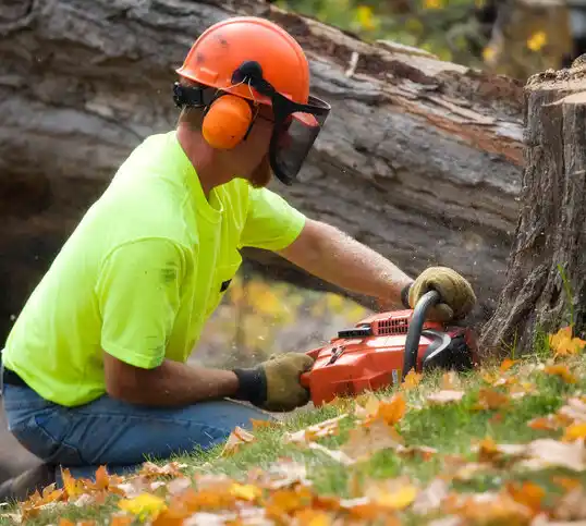 tree services Breesport